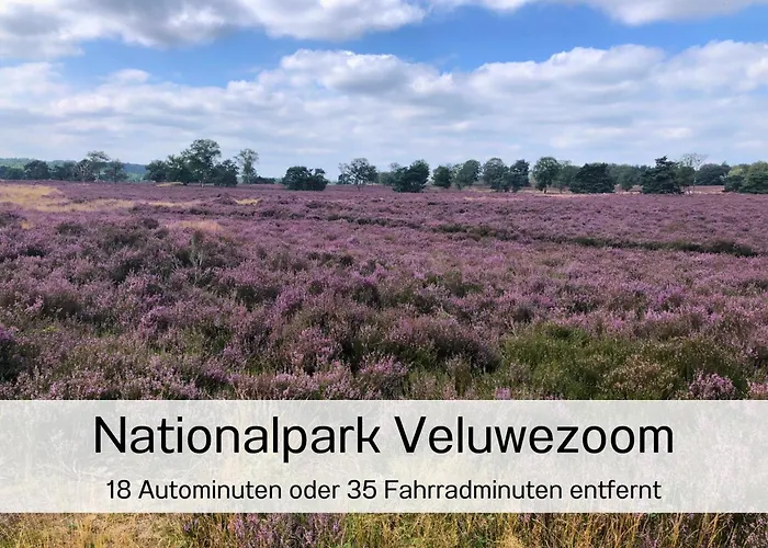 55 Am Wasser - Perfekt Fuer Familien - Mit Freibad, Sauna, Restaurant Und Spielplatz Semesterbostad