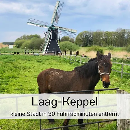 בית נופש 55 Am Wasser - Perfekt Fuer Familien - Mit Freibad, Sauna, Restaurant Und Spielplatz Olburgen